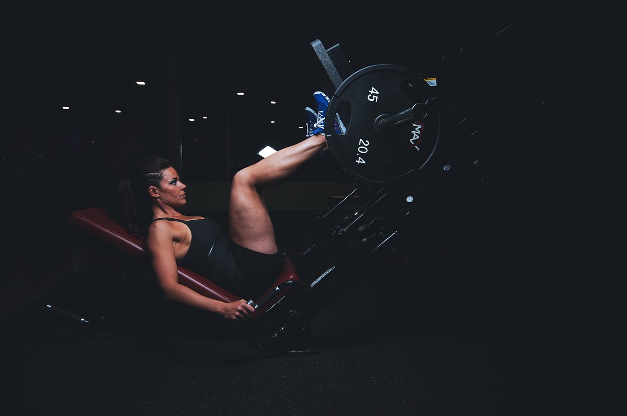 Elkstrength Fitness Club collection